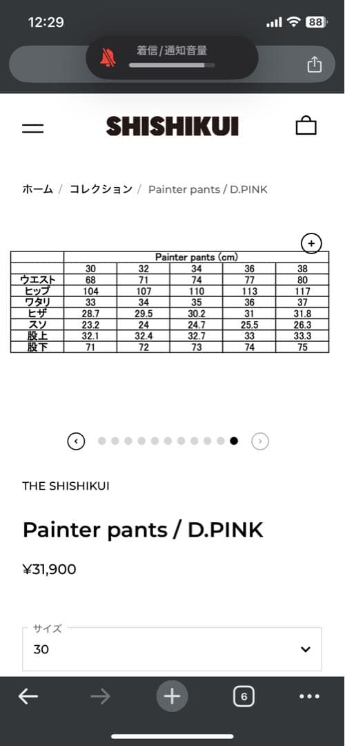 THE SHISHIKUI ペインターパンツ オフホワイト サイズ36