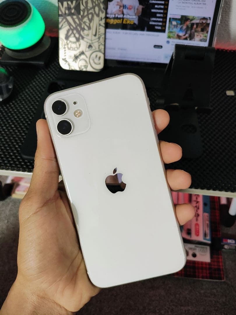 iPhone 11用グラフィティケース