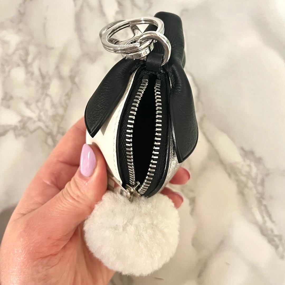 「新品」LOEWE ケース