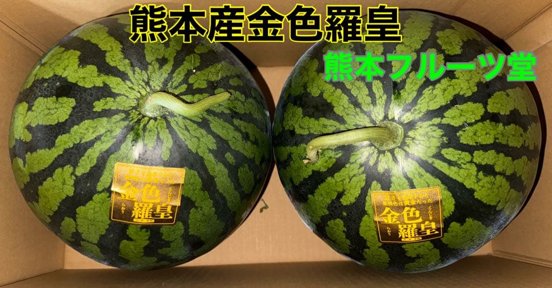 百貨店御用達！美味い！熊本産【金色羅皇】秀品6L2玉セット（23〜25k箱込）