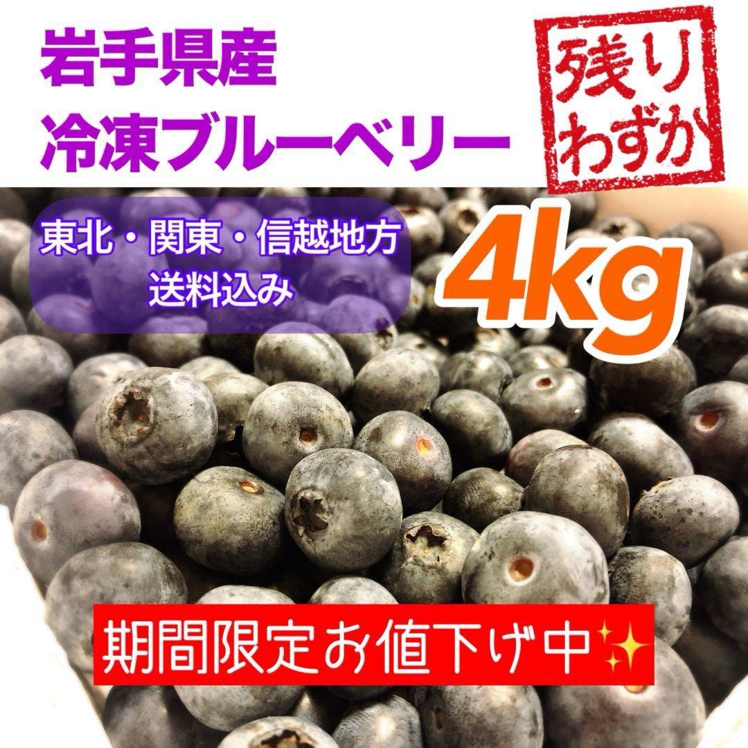 岩手県産 冷凍ブルーベリー 4kg