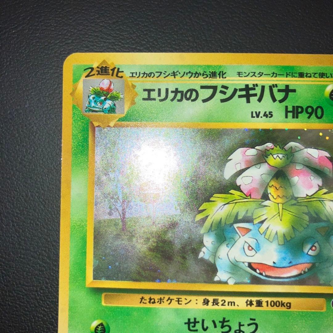 美品　旧裏　エリカのフシギバナ　キラ　十字