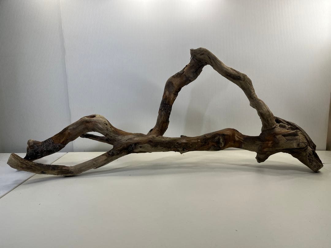 k36特大流木 アク抜き済み 爬虫類シェルター レイアウト用 登り木 インテリア