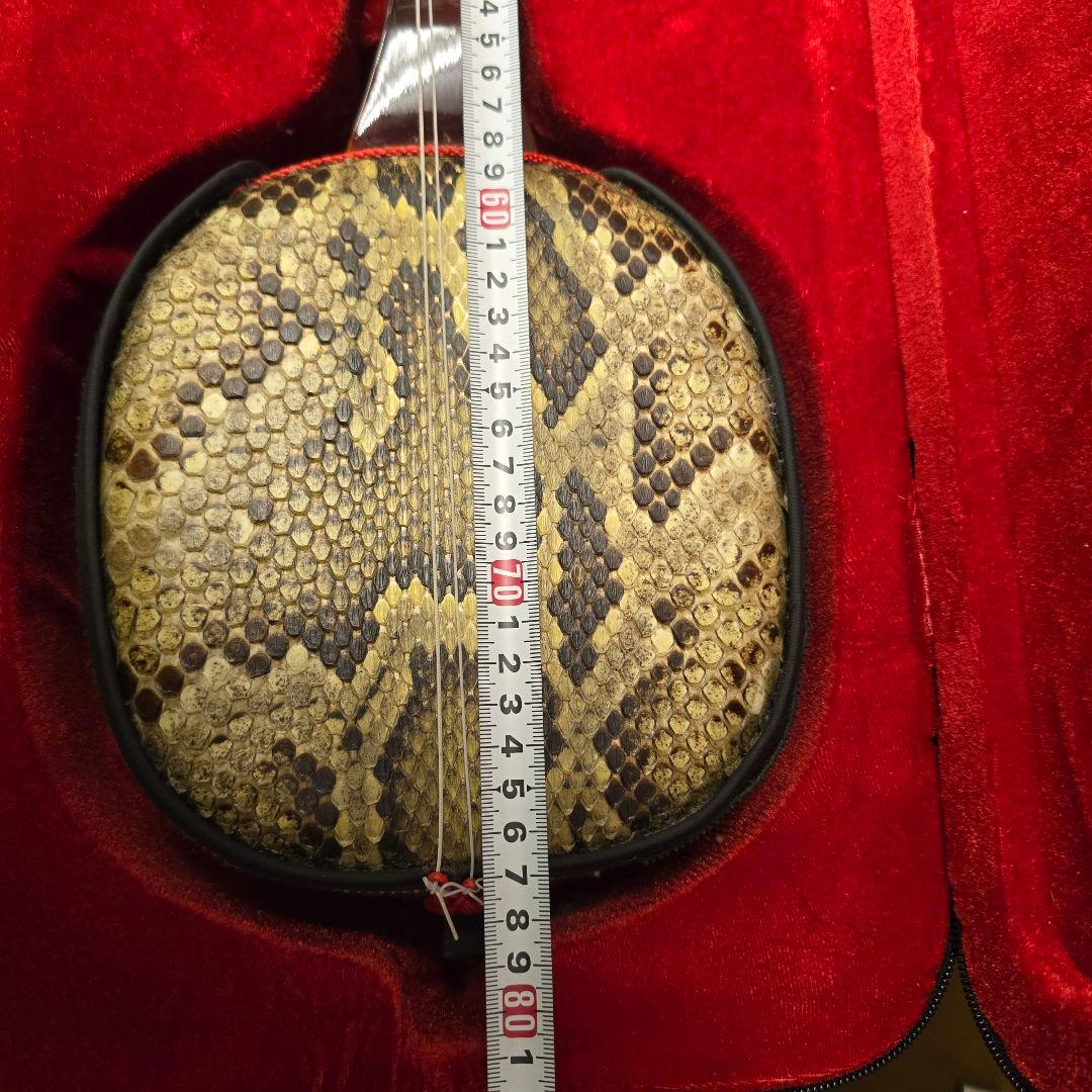 三味線本体 蛇味線 ケース付き