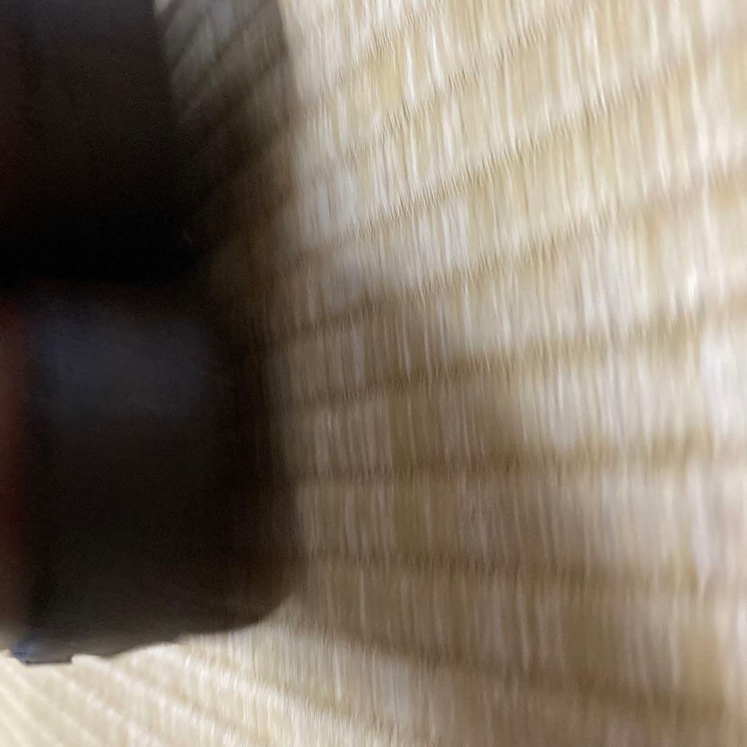 ダナー　ビスマルク