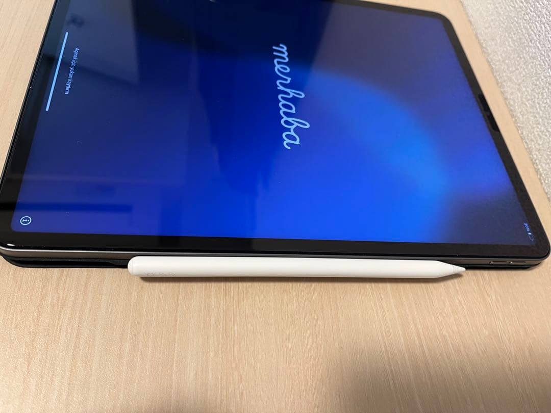 Apple iPad Pro (第5世代) 12.9インチ 128GB Wi-F