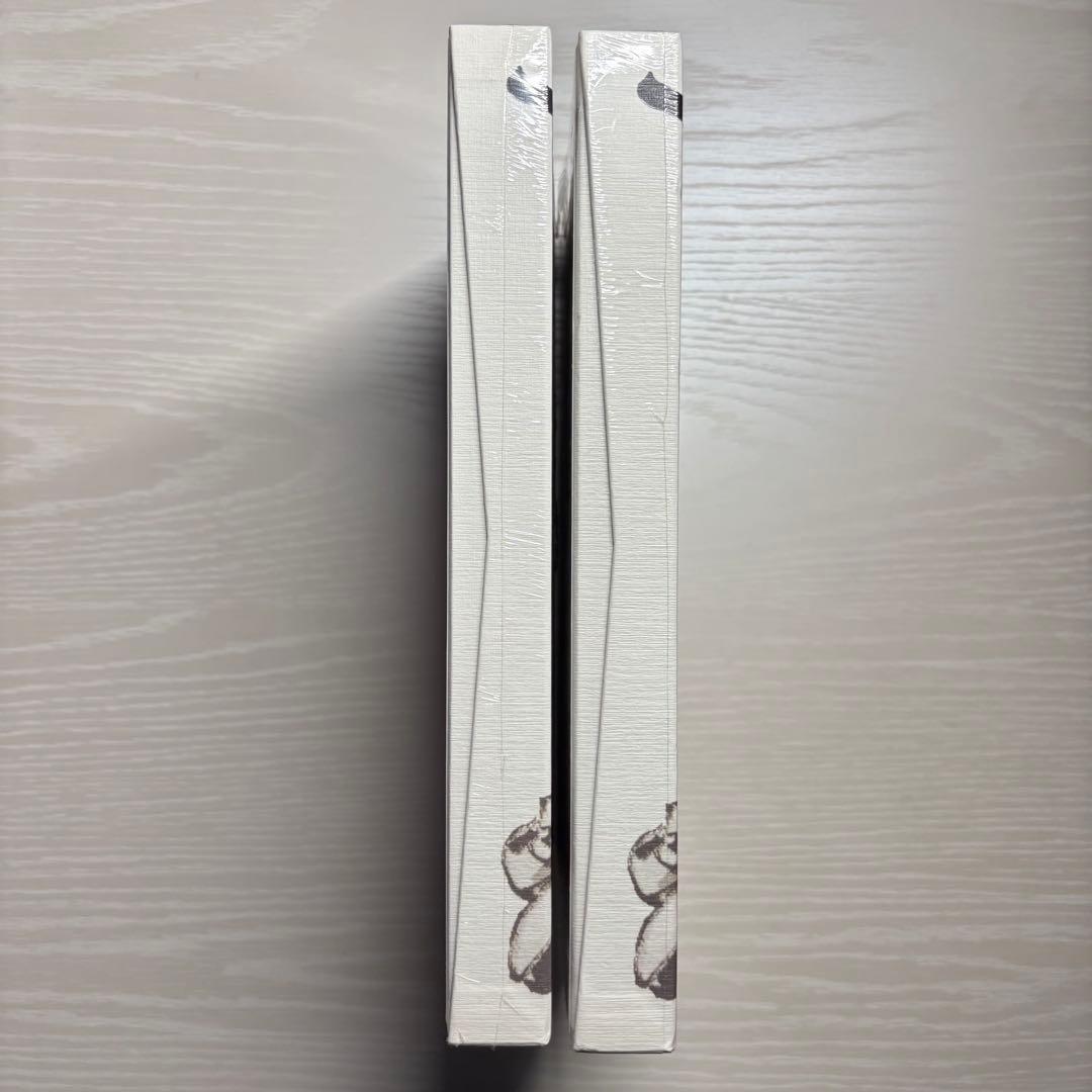 【シュリンク付き未開封】MONSTERS 一百三情飛龍侍極 リューマプロモ　2冊