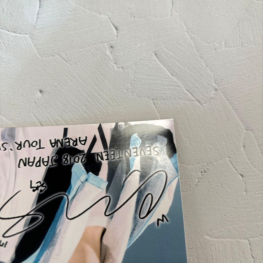 SEVENTEEN☆ローソンプリント ウォヌ 11枚セット