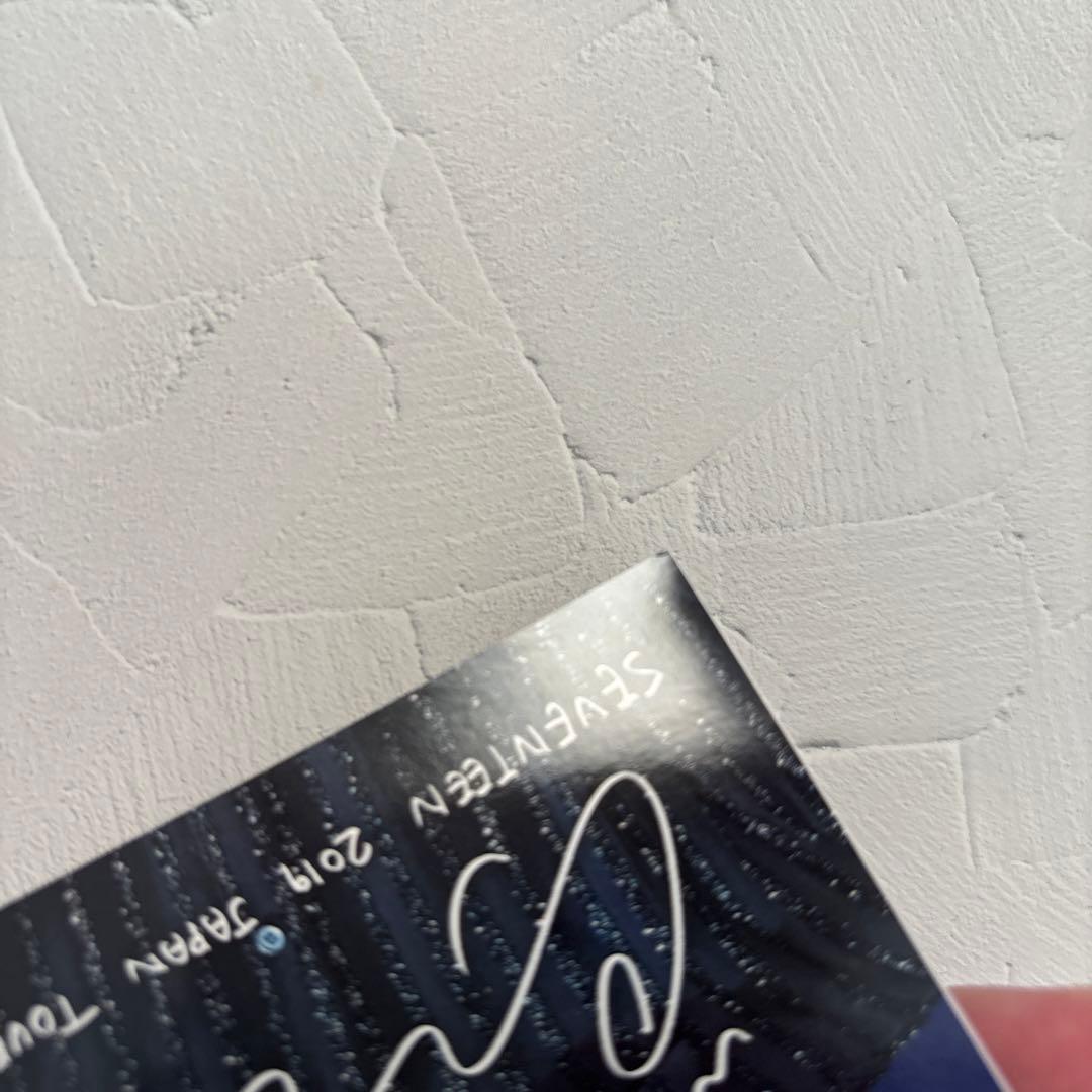 SEVENTEEN☆ローソンプリント ウォヌ 11枚セット