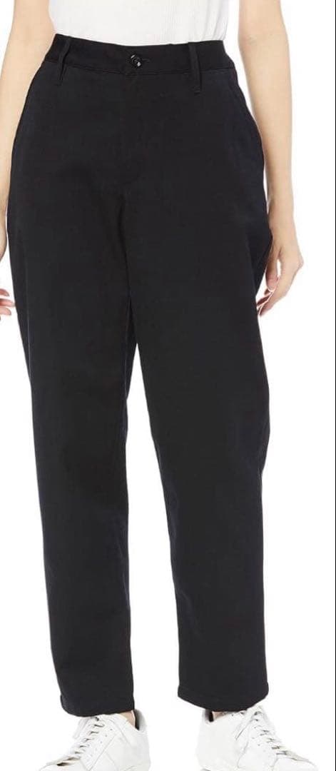 icebreaker アイスブレーカー ウィメンズ ベルリン パンツ 28サイズ