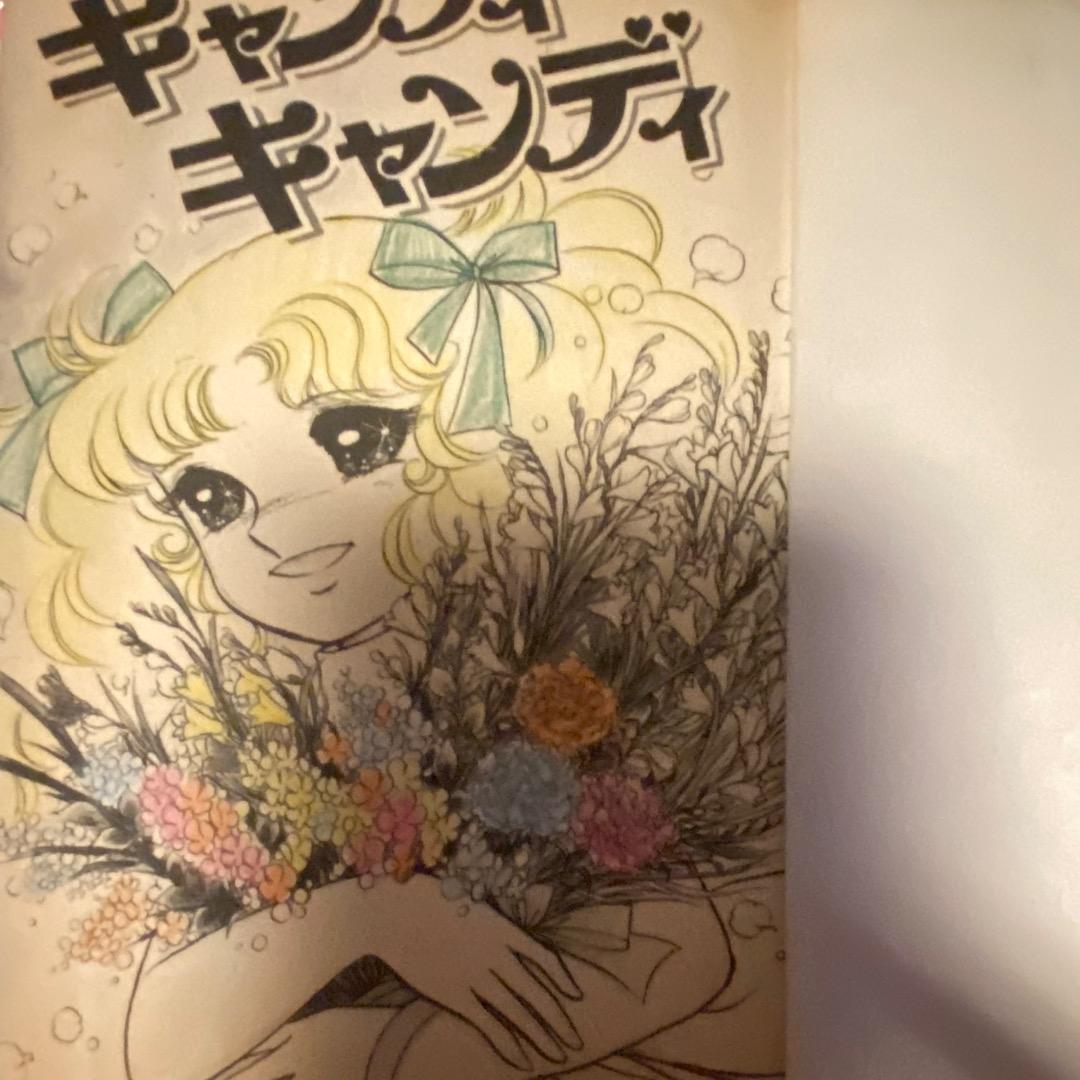 ran【希少初版含む】キャンディキャンディ 全巻セット