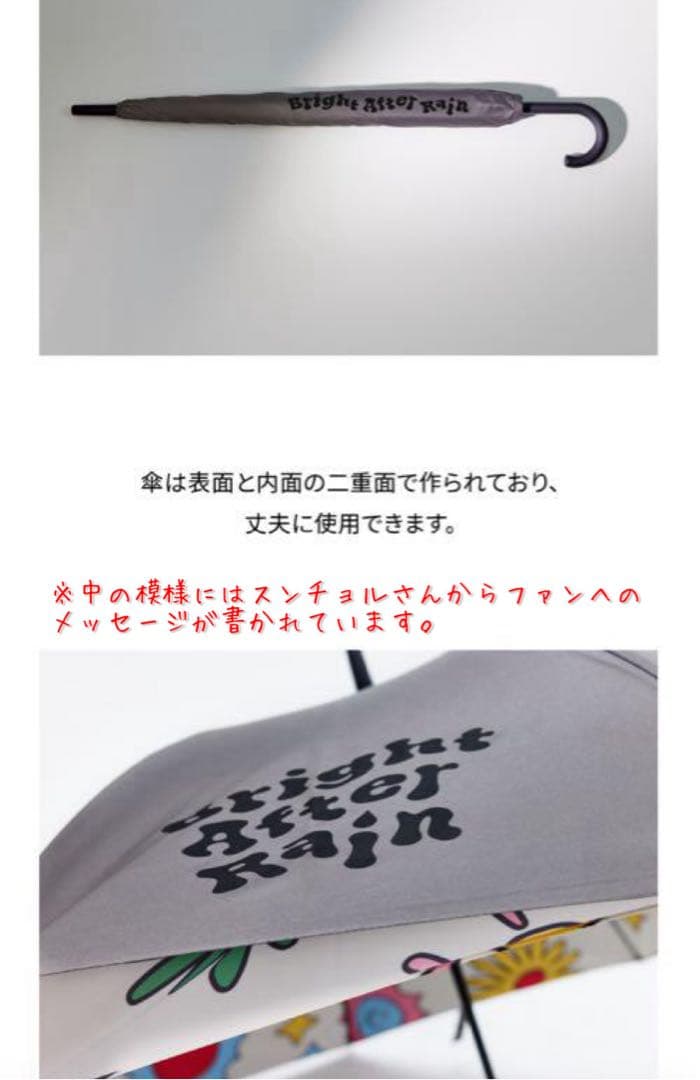 SEVENTEEN アーティストメイド エスクプス 傘(新品未使用:現品のみ)