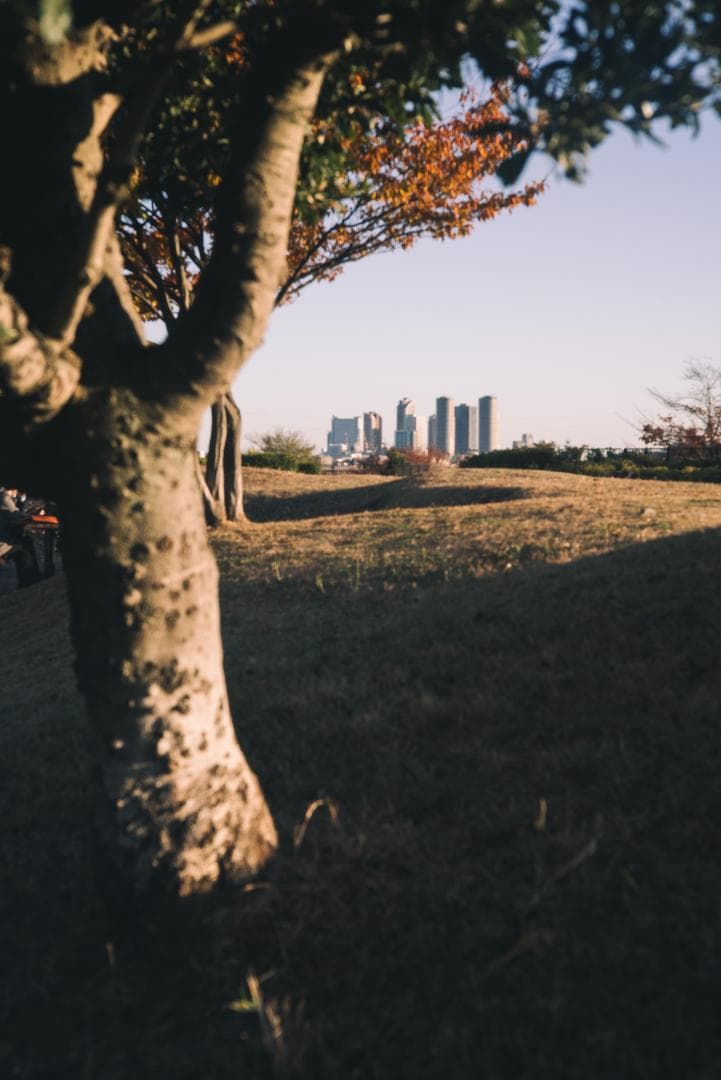 訳ありSALE！Leica Summicron 50mm 1st 沈胴