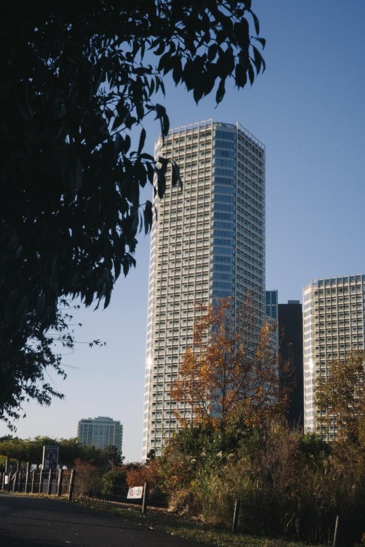 訳ありSALE！Leica Summicron 50mm 1st 沈胴