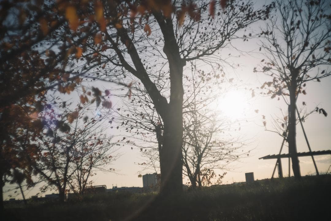 訳ありSALE！Leica Summicron 50mm 1st 沈胴