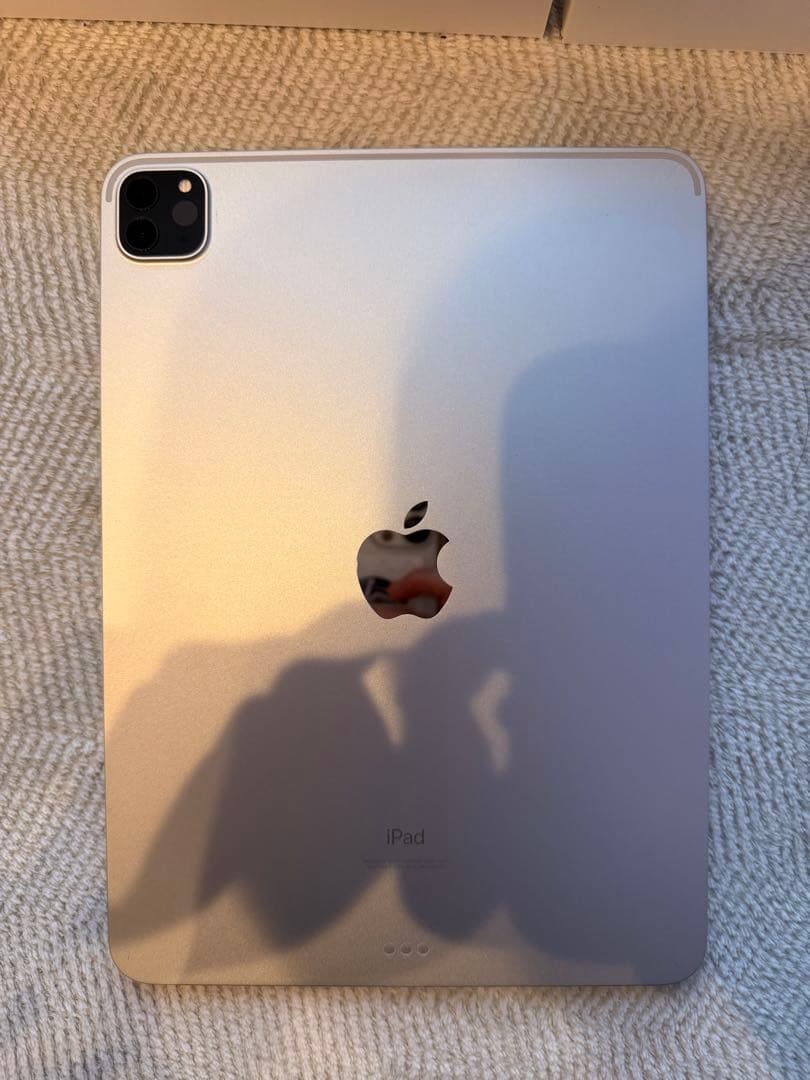 (値下げ！)ipad本体　pro11インチ第3世代　シルバー 256GB