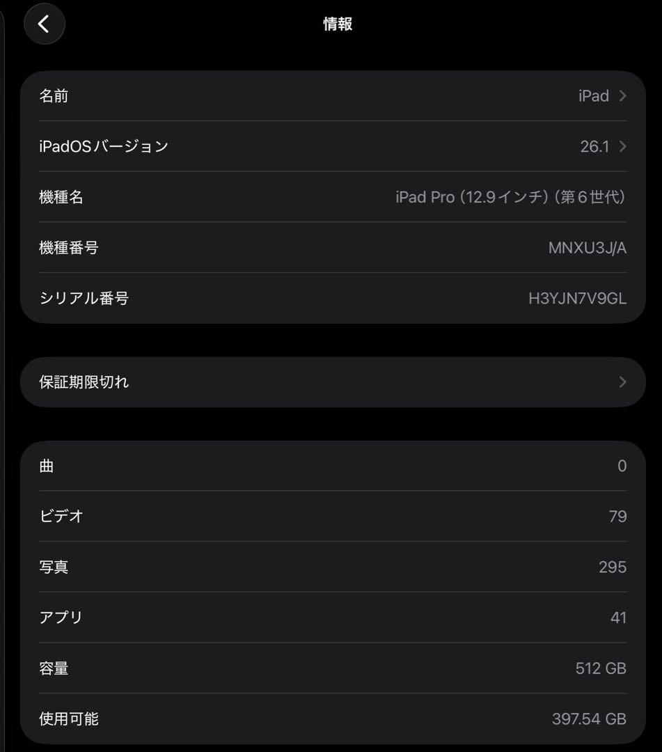 iPad Pro 12.9 第6世代 512GB Apple Pencil２