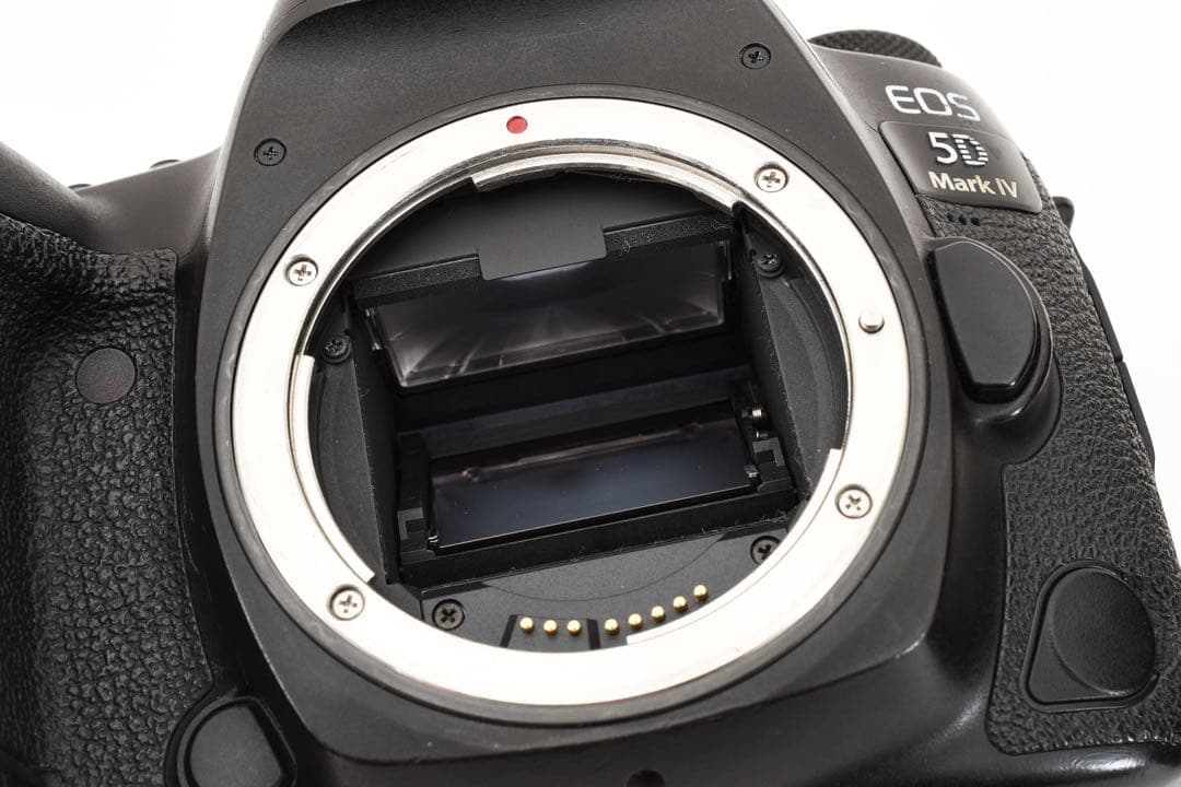 Canon EOS 5D Mark IV標準&望遠&単焦点トリプルレンズセット