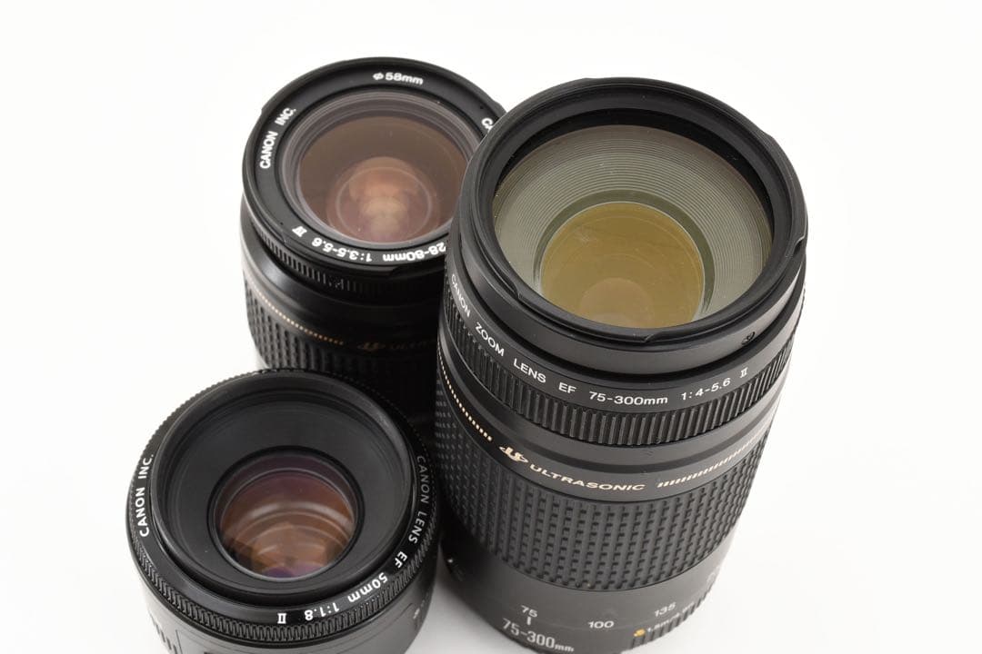 Canon EOS 5D Mark IV標準&望遠&単焦点トリプルレンズセット
