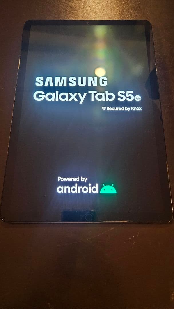 Samsung Galaxy Tab S5e 10.5インチ 美品 本体のみ
