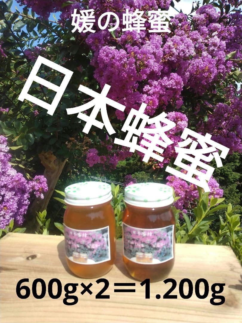 日本蜂蜜の蜂蜜、百花蜜、愛媛県産、600g×2