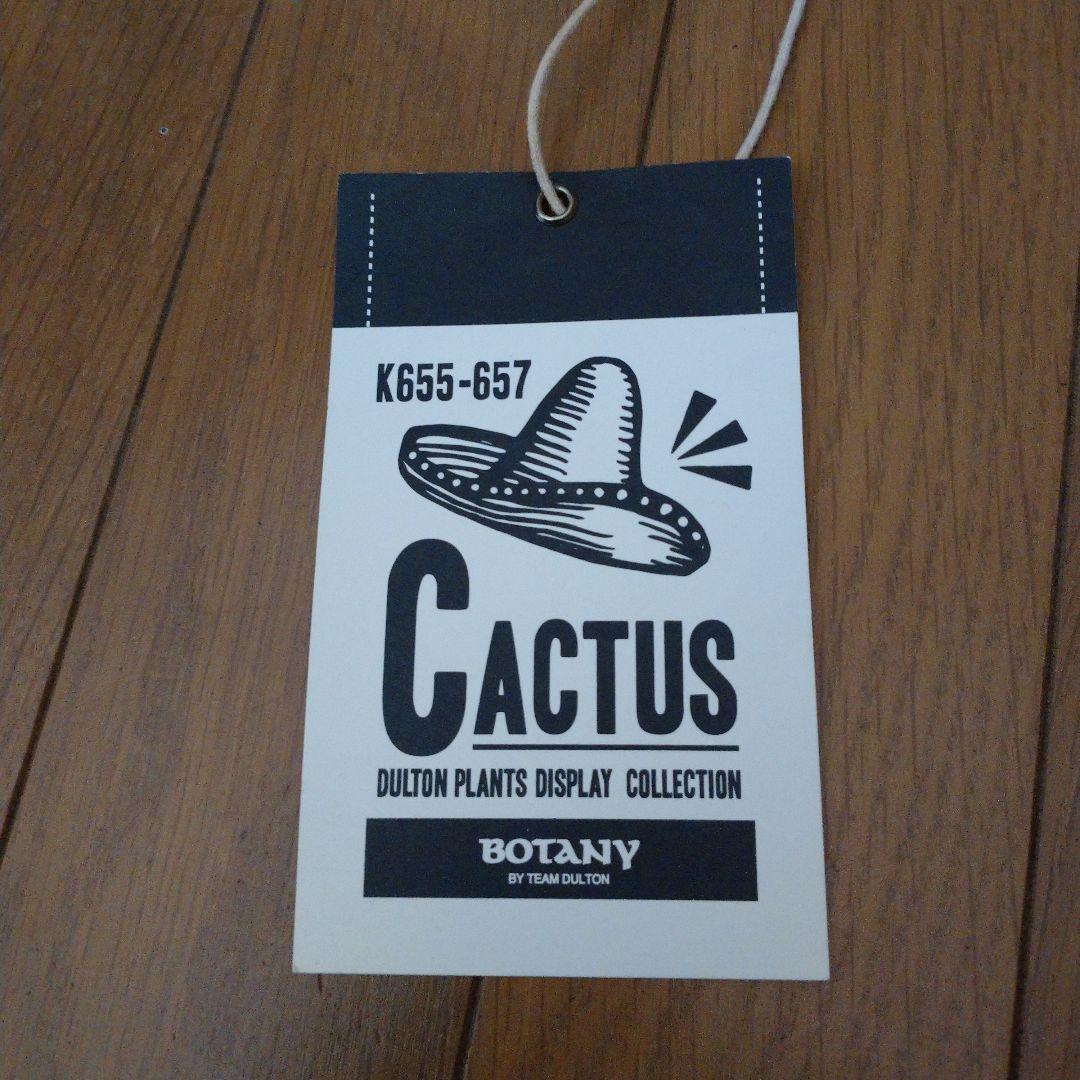 DULTON サボテンの置物 [H.720 W.310mm]