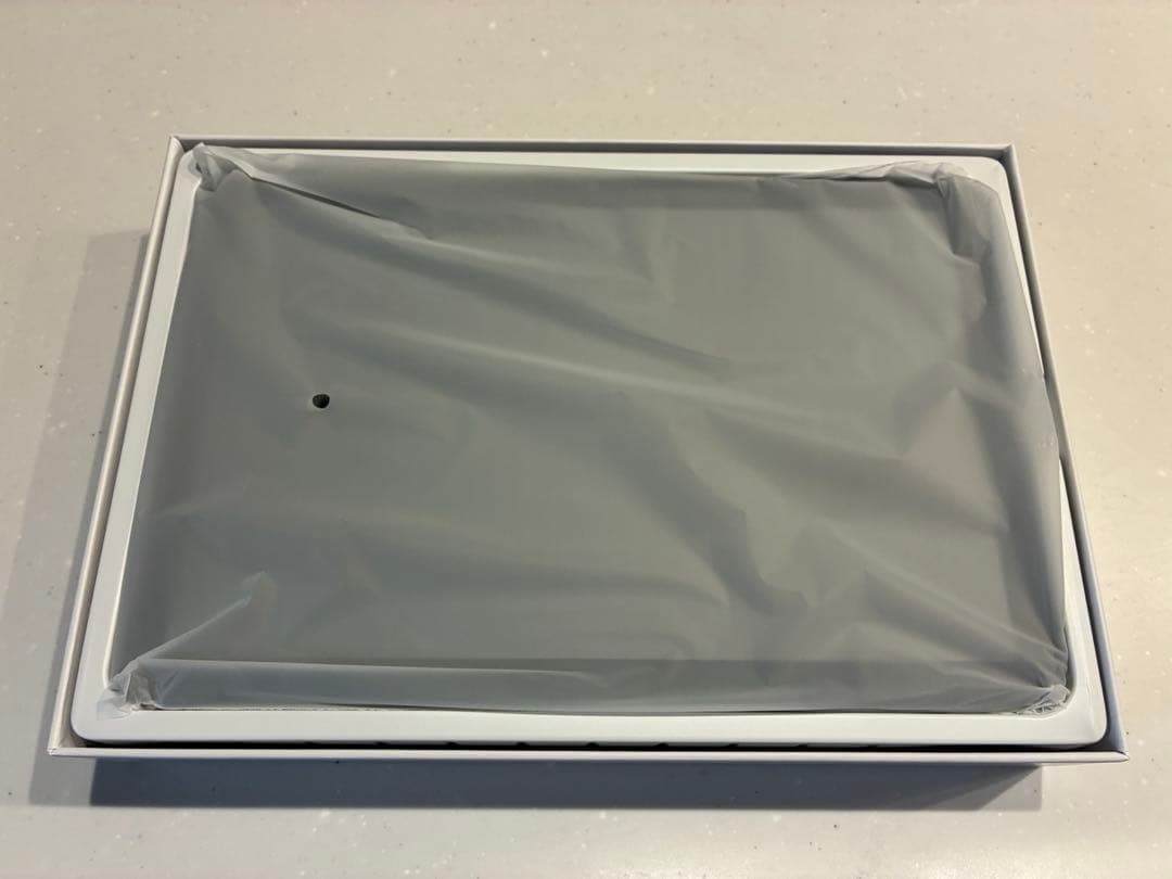 Plimpton P1 Androidタブレット 本体