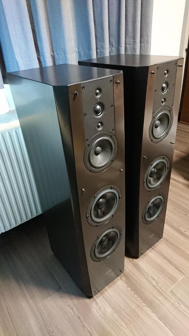 SONY ソニー SS-NA2ES　ペア