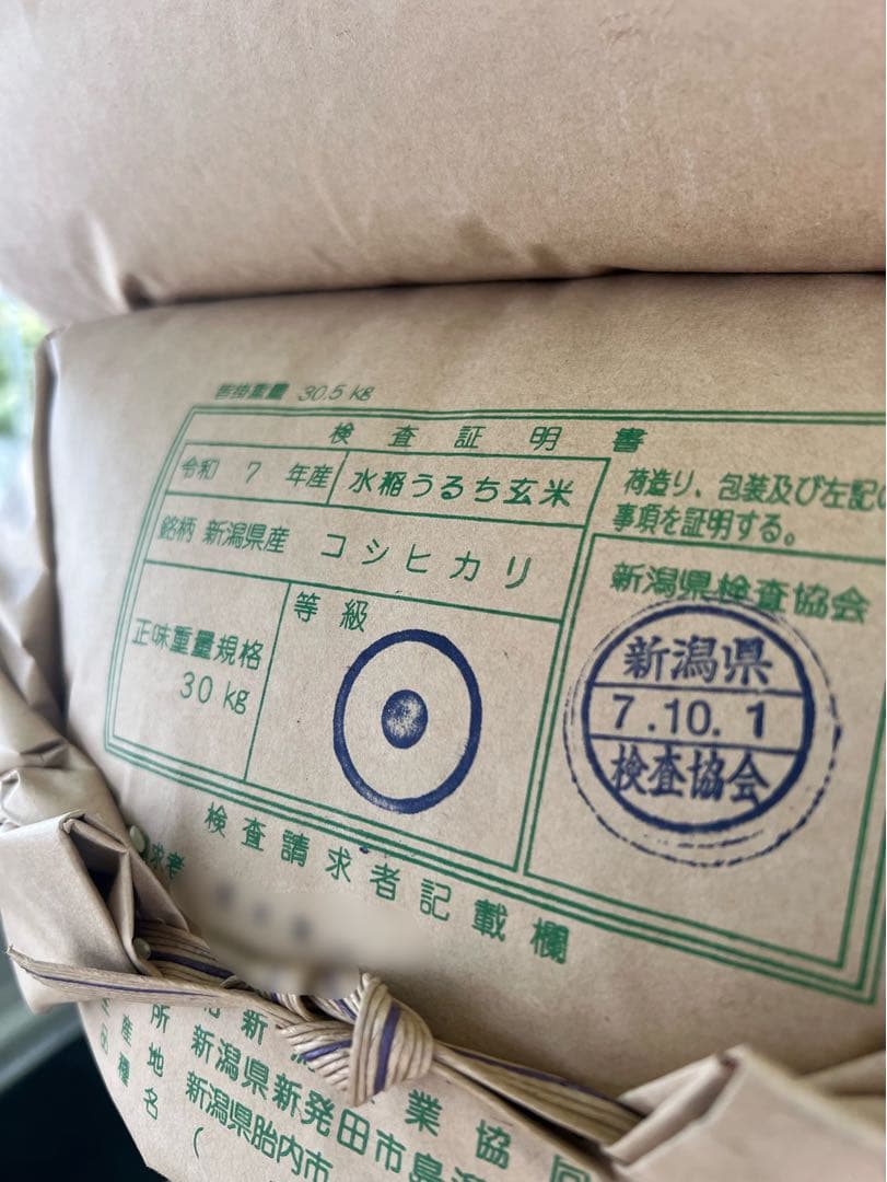 【令和7年産】【一等米】新潟県産従来品種コシヒカリ精米(白米)10kg B④