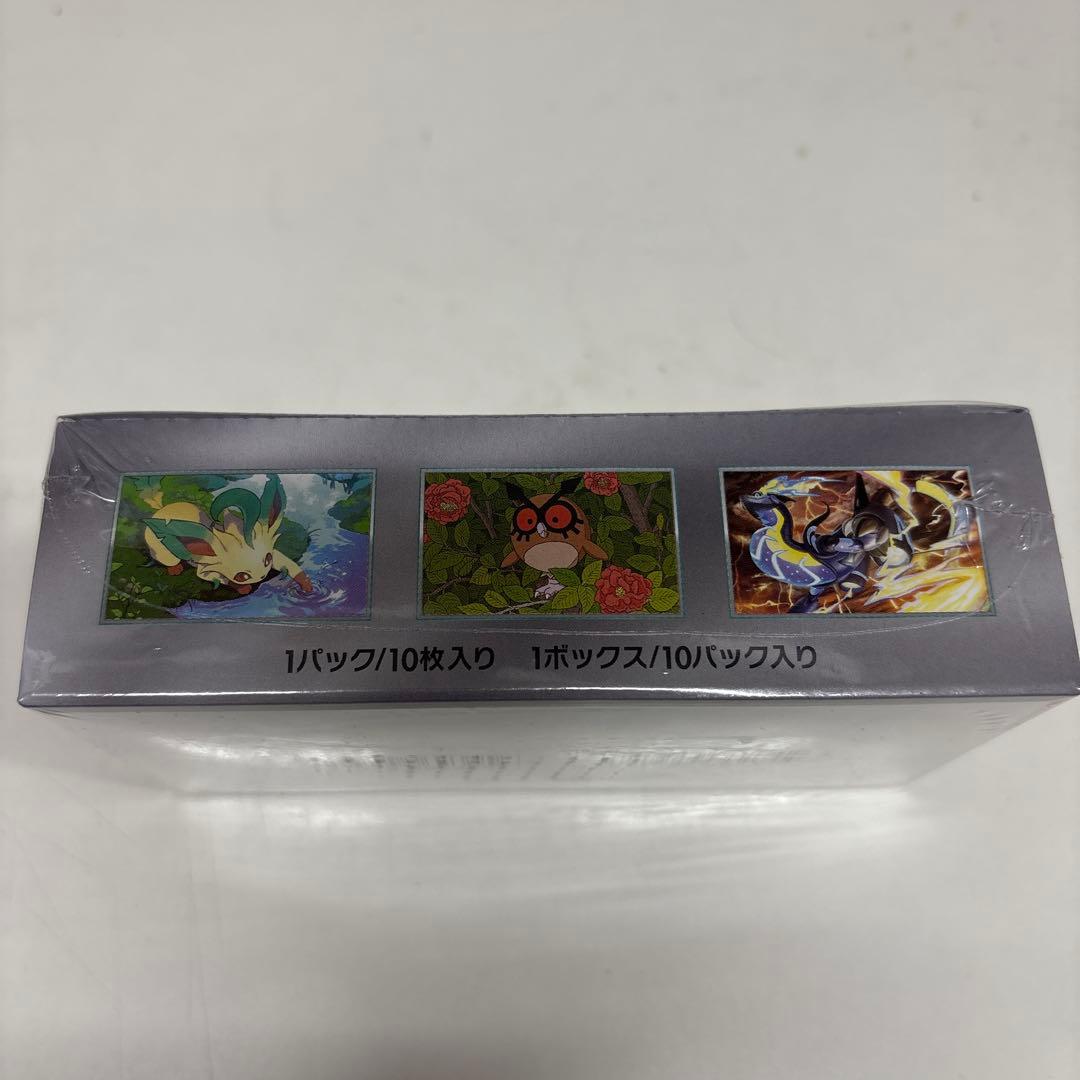 並*川様 ポケカ　テラスタルフェスex シュリンク付きBOX①
