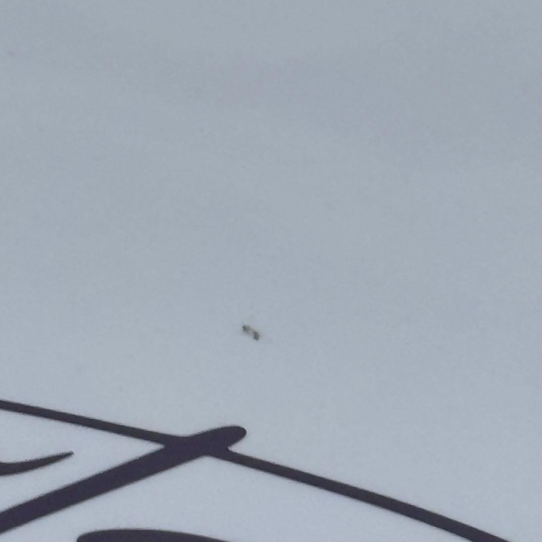 TWICE ツウィ　TZUYU aboutzu ONCE JAPAN