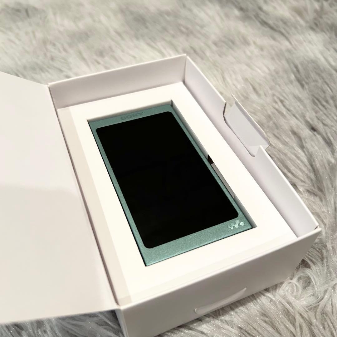 【極美品】 ソニー ウォークマン Aシリーズ NW-A45HN 　SONY