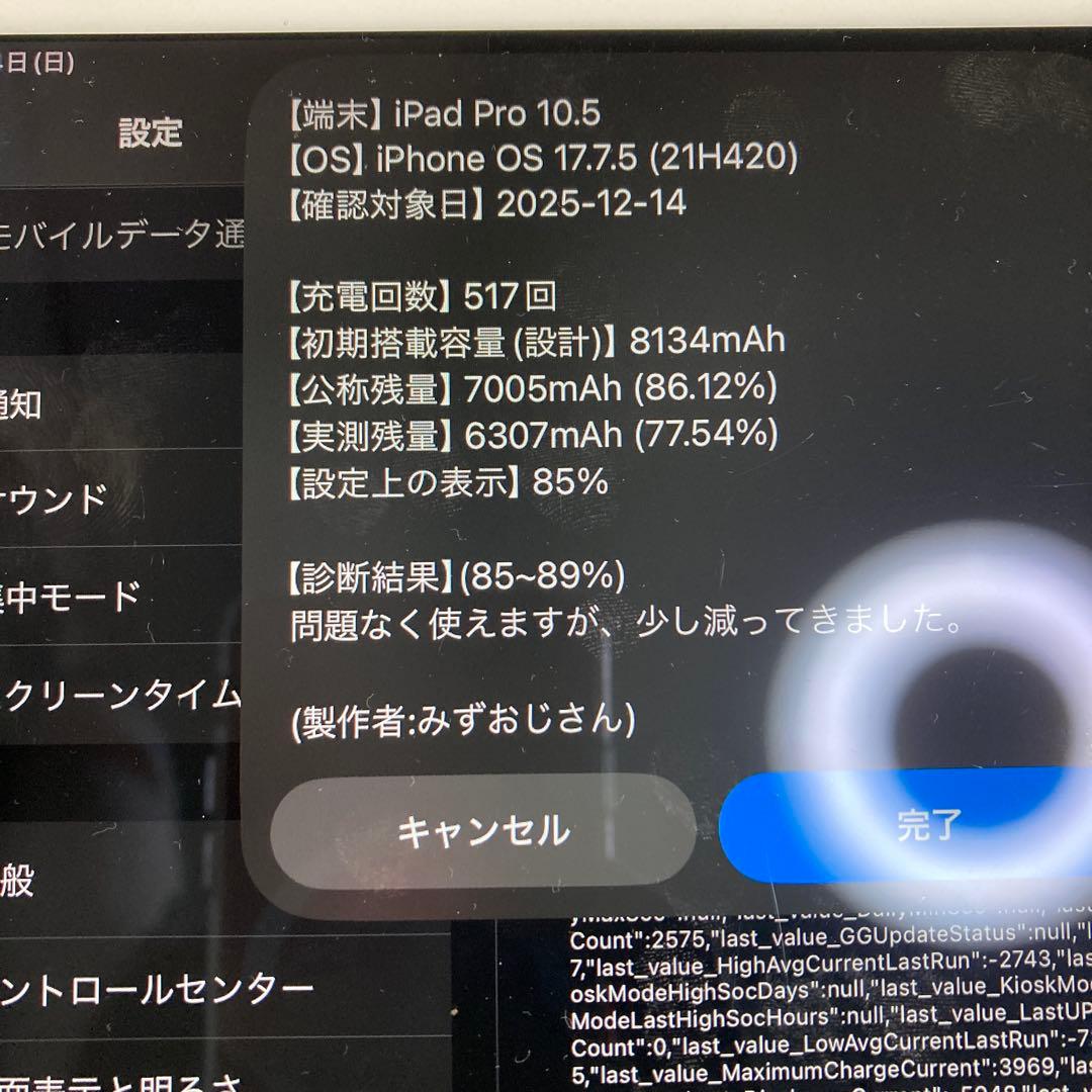iPad Pro 10.5インチ 256GB