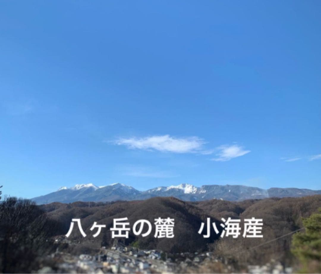 高原紫花豆 4kg 2025年産 長野県八ヶ岳麓産　自家製