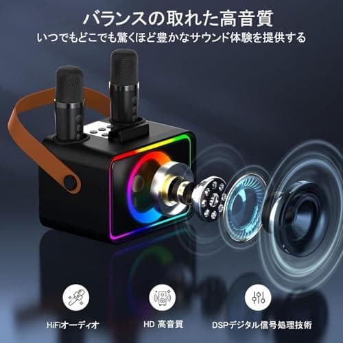 スピーカーセット カラオケ マイク 2本 Bluetooth5.3 カラオケセp