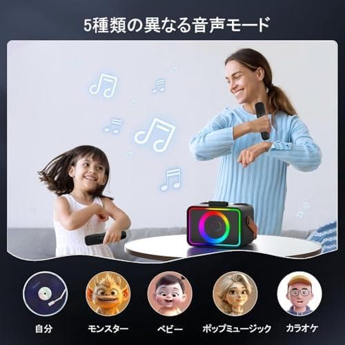 スピーカーセット カラオケ マイク 2本 Bluetooth5.3 カラオケセp