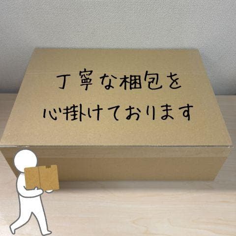 スピーカーセット カラオケ マイク 2本 Bluetooth5.3 カラオケセp