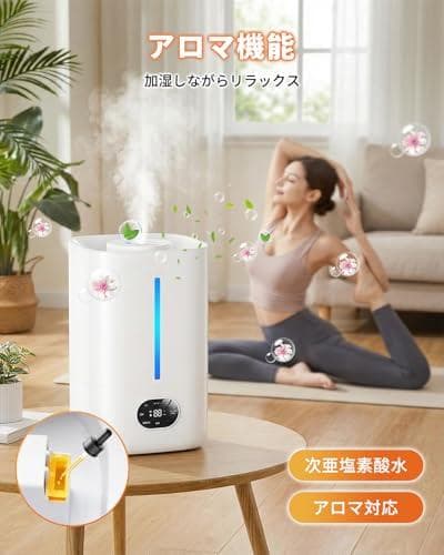 加湿器 大容量 ハイブリッド式【乾燥対策・AI知能恒湿・５重除菌&空気_corg