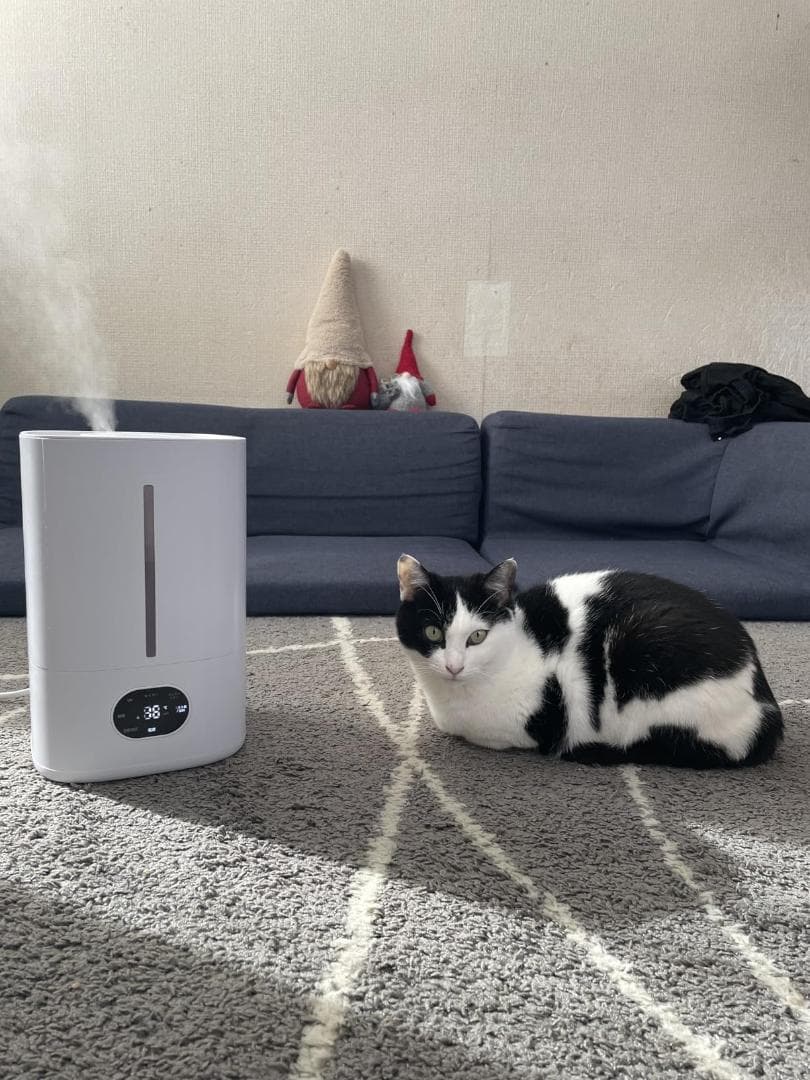 加湿器 大容量 ハイブリッド式【乾燥対策・AI知能恒湿・５重除菌&空気_corg