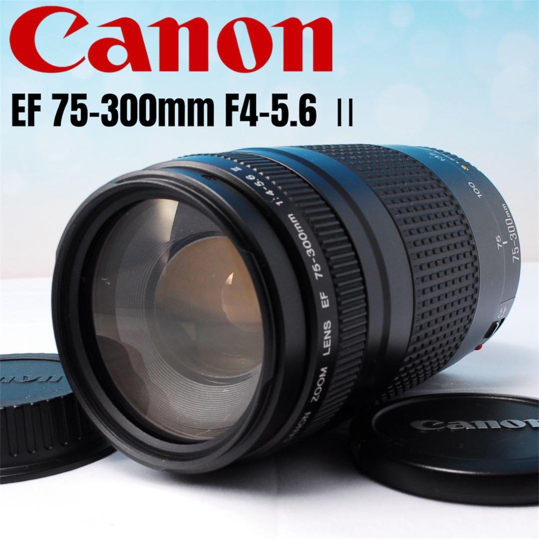 Canon EF 75-300mm F4-5.6 II 超望遠レンズ キヤノン