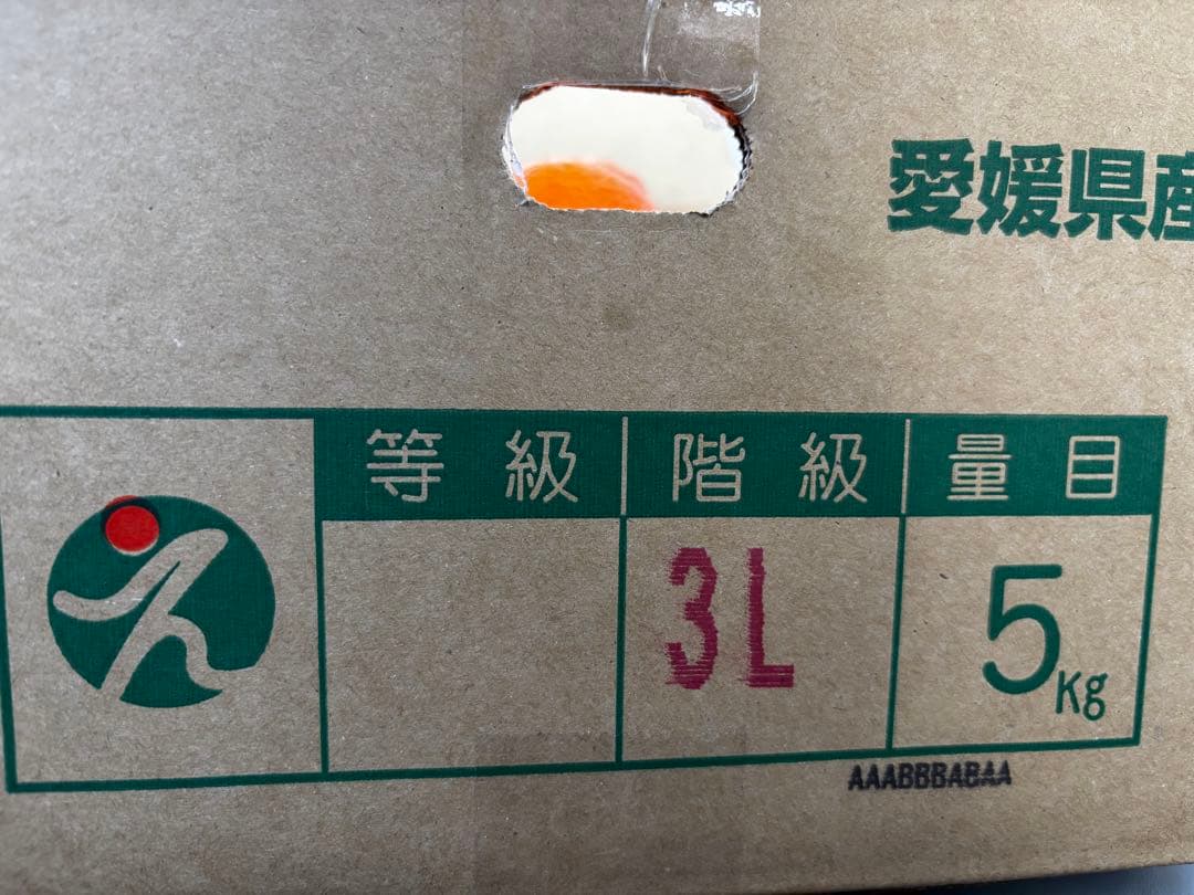 愛華28号（紅まどんな同一品種）3L、5kg×2