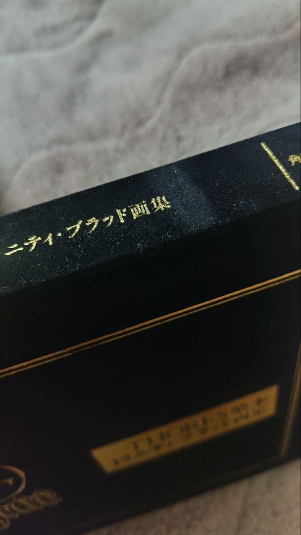 THORES柴本 トリニティ・ブラッド画集 『ファブリカ・テオロギア』初版