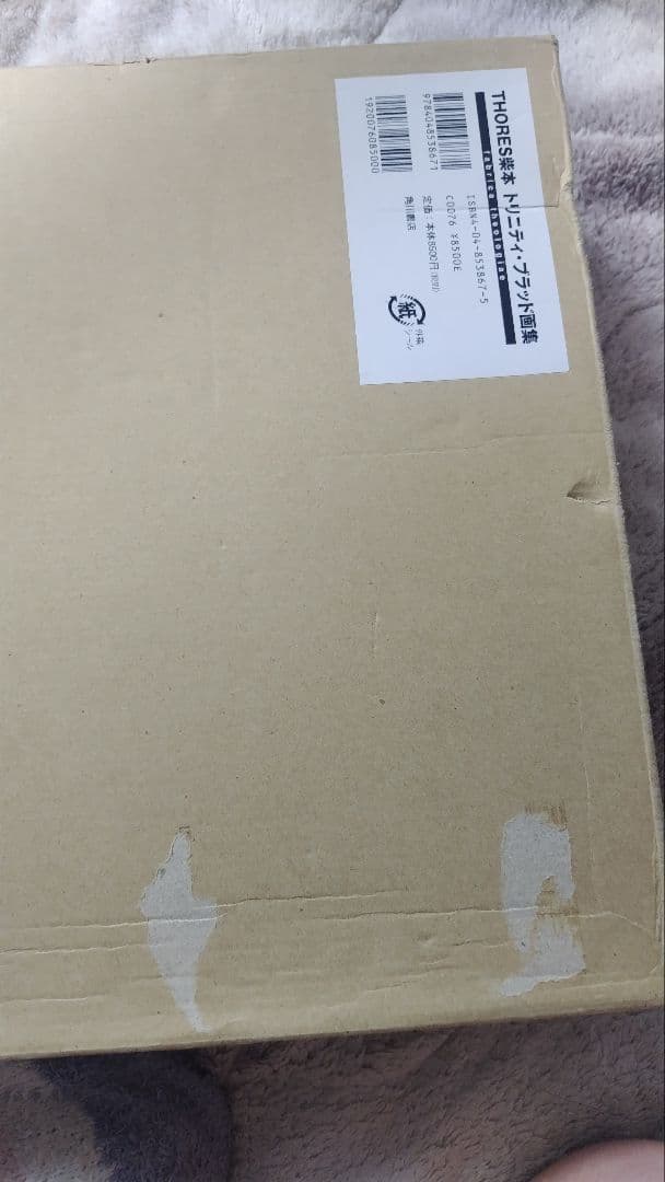 THORES柴本 トリニティ・ブラッド画集 『ファブリカ・テオロギア』初版