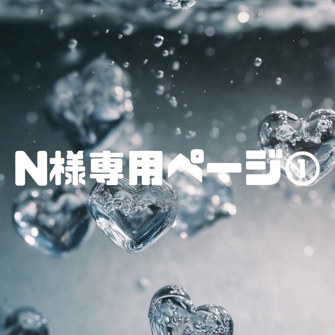 N様お見積もりページ①