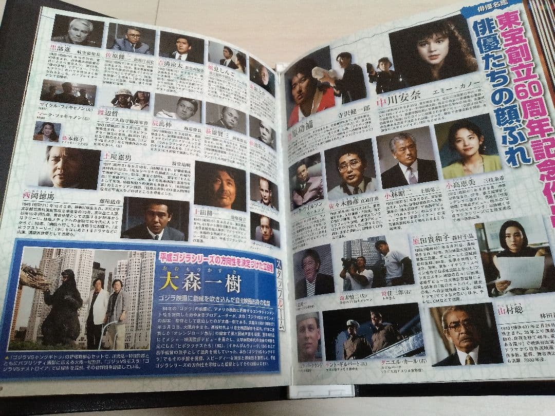 専用　ゴジラ 東宝特撮DVDコレクション