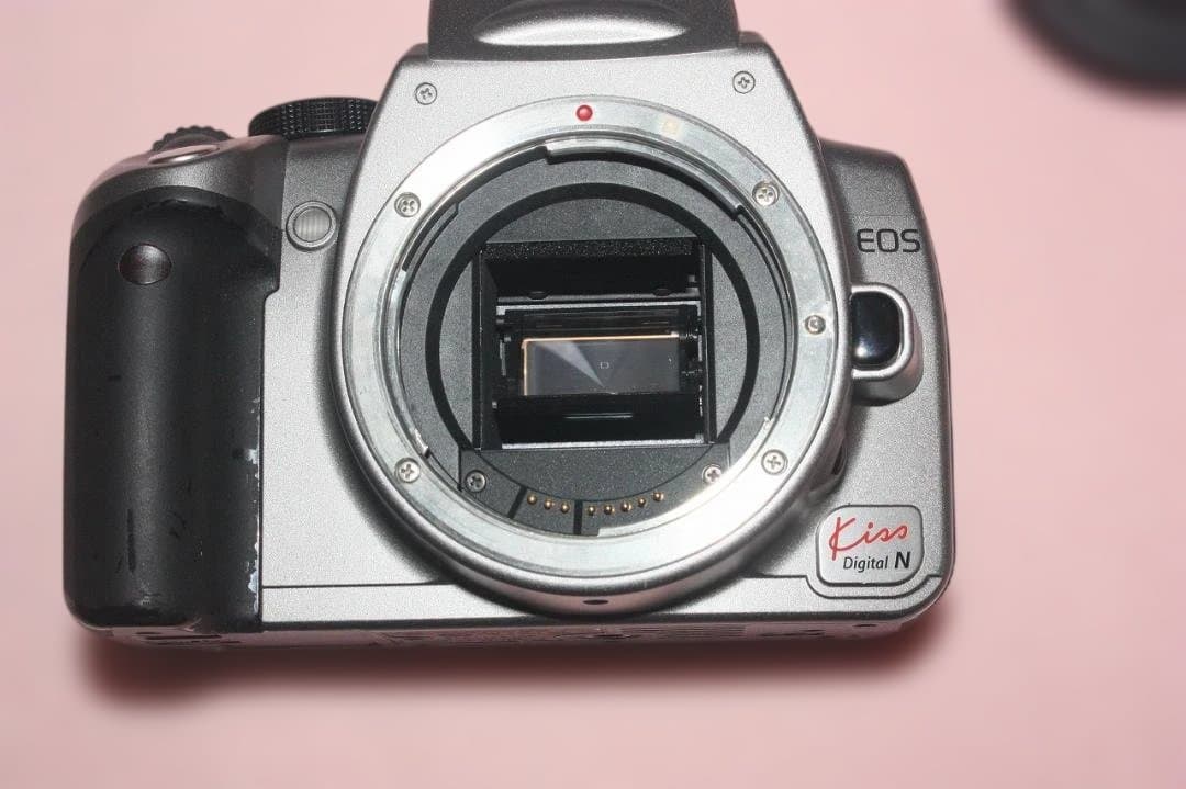 即撮影&取込可★EOS Kiss Digital N ★電池&カード&リーダー付