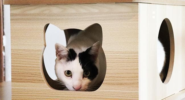 アウトレット キャットタワー 木製 宇宙船　展望台　多頭飼い 大型猫　178cm