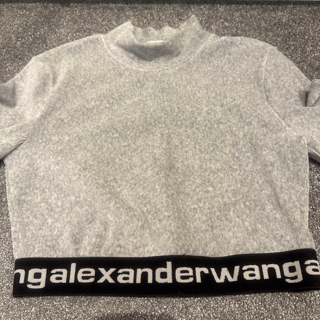 alexanderwang グレー クロップドTシャツ