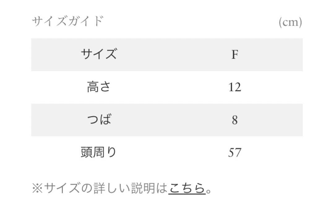 メゾン ド リリス ロンハーマン RHC別注　シューティングハット