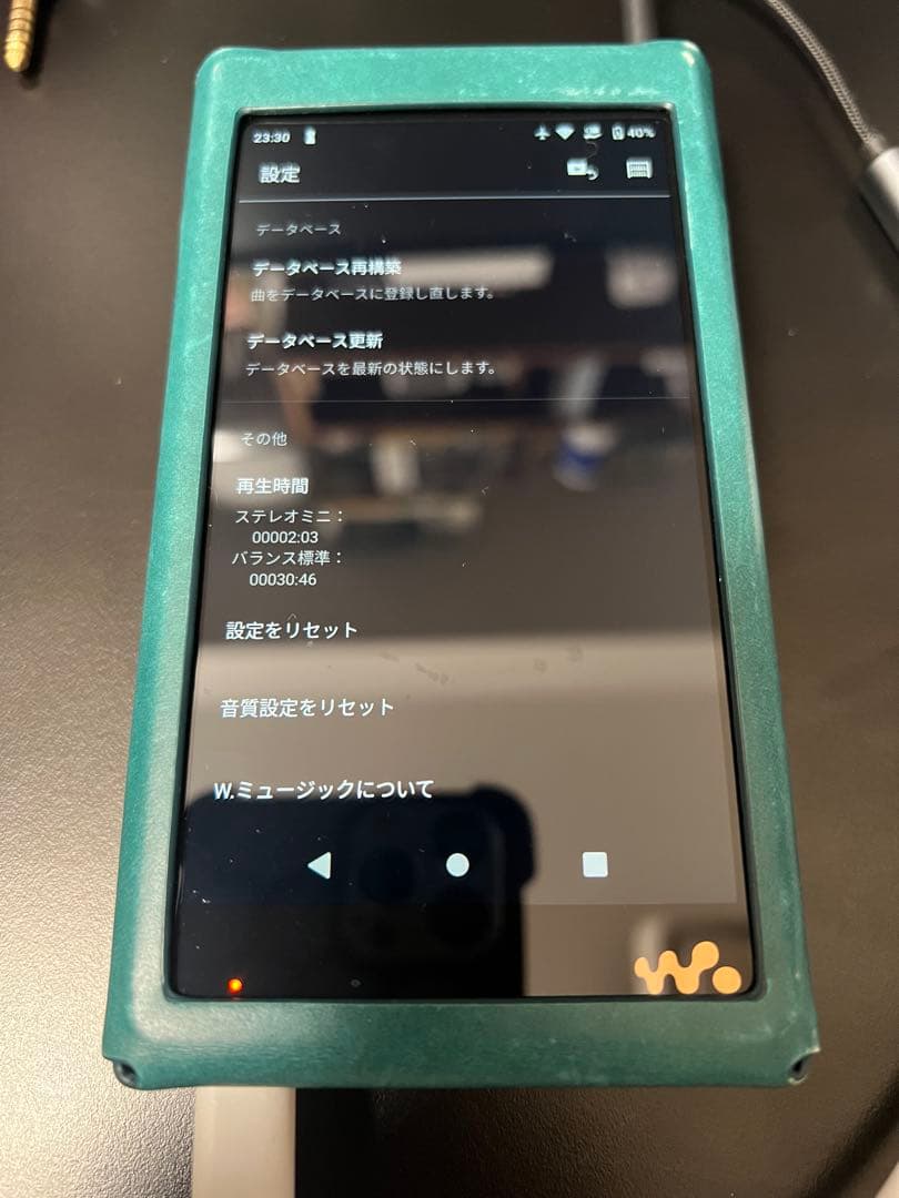 か*ん様 SONY NW-WM1AM2 (ケース+SDカード512GB付き)
